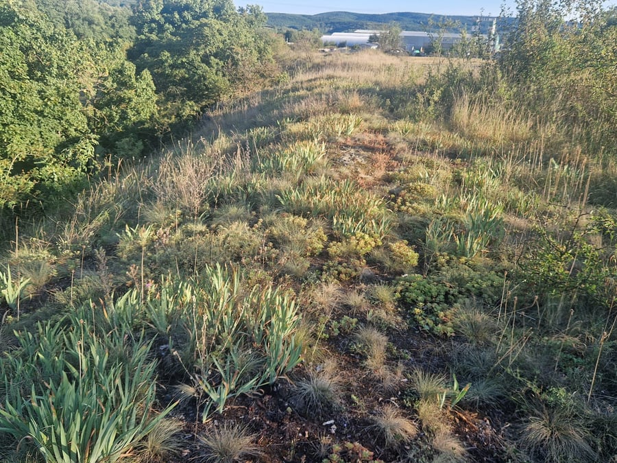 Ivančice Poslední Špýry - plyn