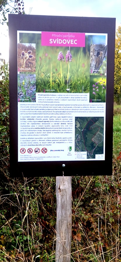 Přírodní památka Svídovec