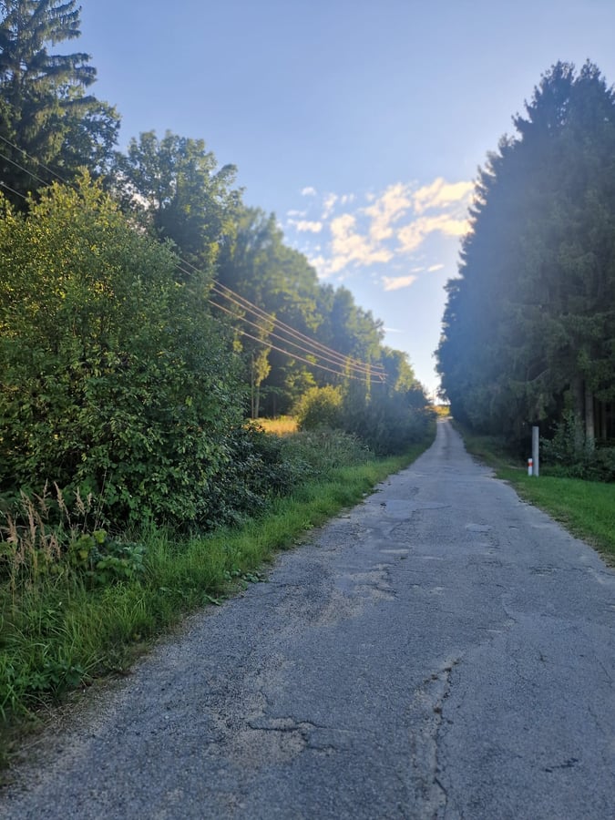 Obora  - Hracholusky