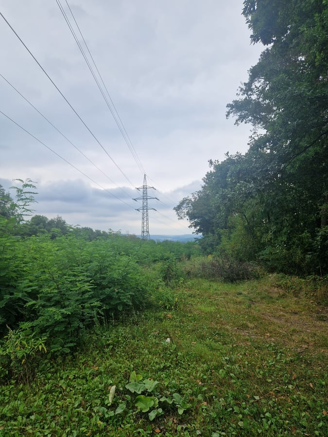 Brno Lesná - pluština II