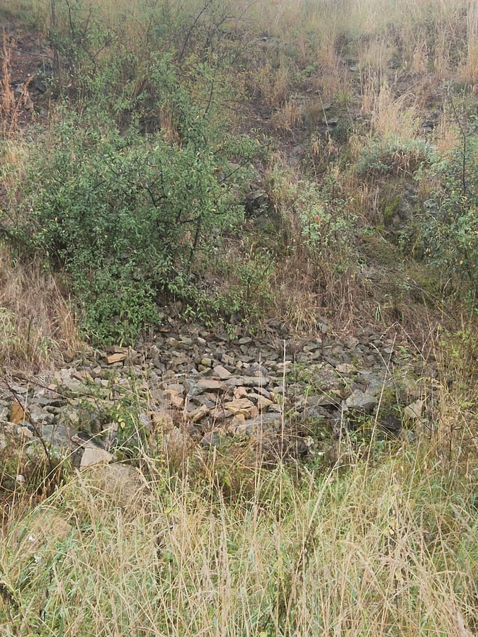 Přírodní památka Ve Žlebě