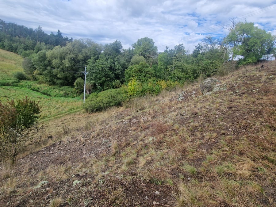 Přírodní lokalita Rouchovany U Nových Dvorů