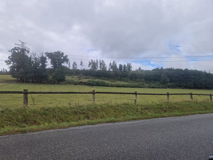 Pastvina PUPFL Rešice