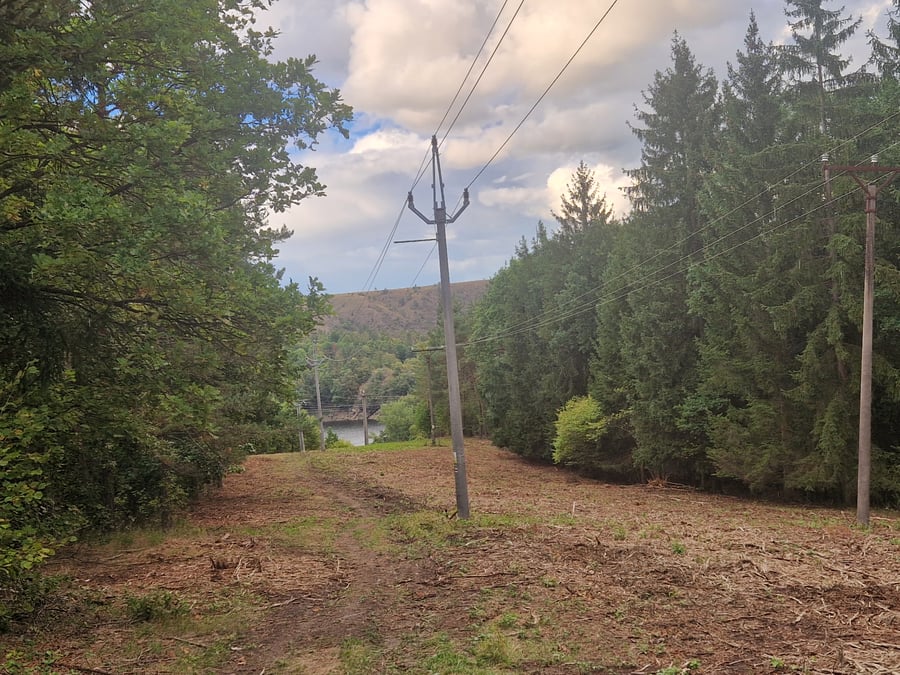 Přírodní rezervace Dukovanský mlýn