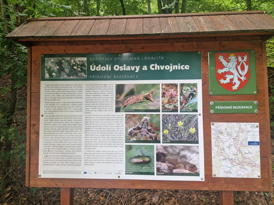 Přírodní rezervace Údolí Oslavy a Chvojnice Skřípina 2