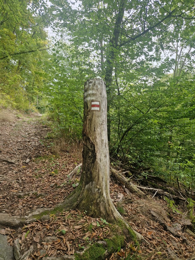 Přírodní rezervace Údolí Oslavy a Chvojnice Skřípina