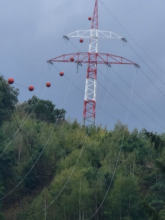 Přírodní rezervace Údolí Oslavy a Chvojnice Kavčice