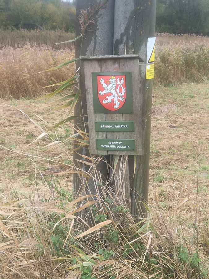 Přírodní památka Úvalský rybník