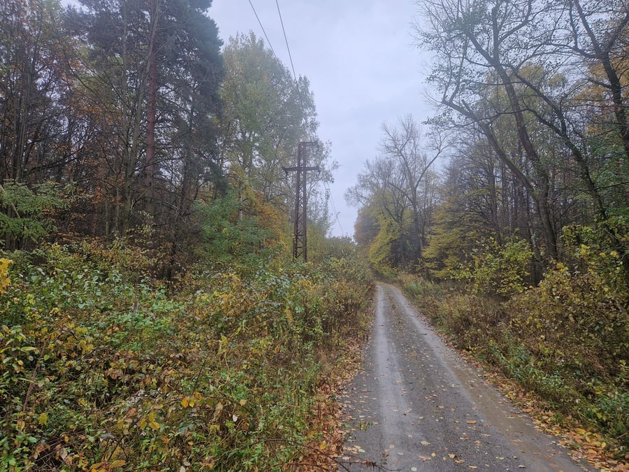 Národní přírodní památka Hodonínská dubrava