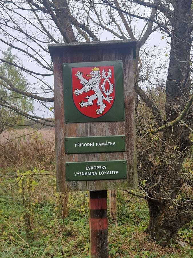 Přírodní památka Vypálenky