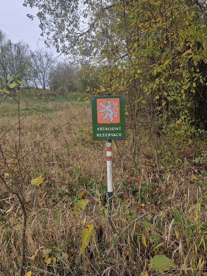 Přírodní památka Písečný rybník