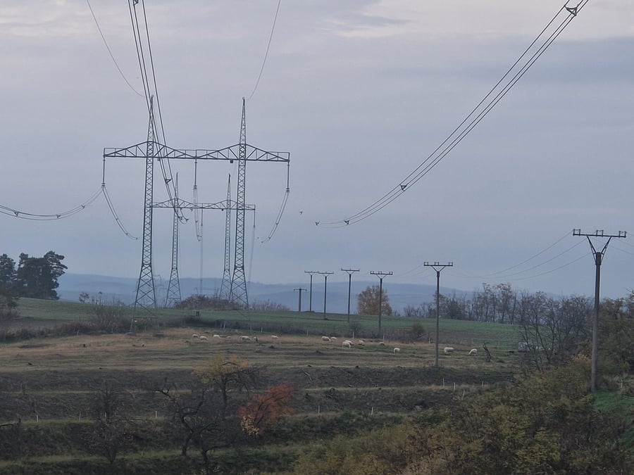 Přírodní památka Bílý kopec u Čejče