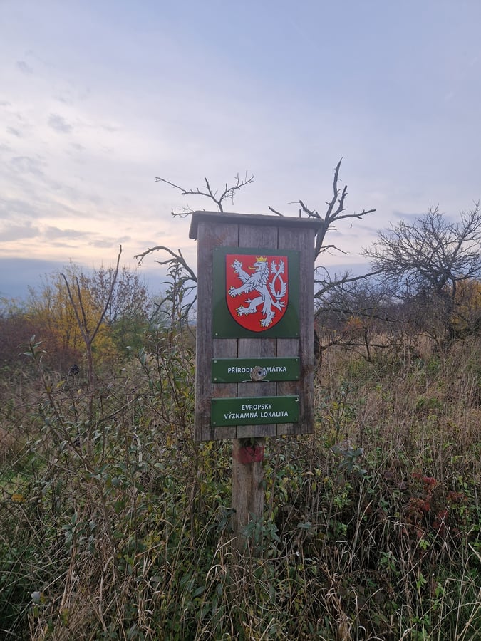 Přírodní památka Bílý kopec u Čejče