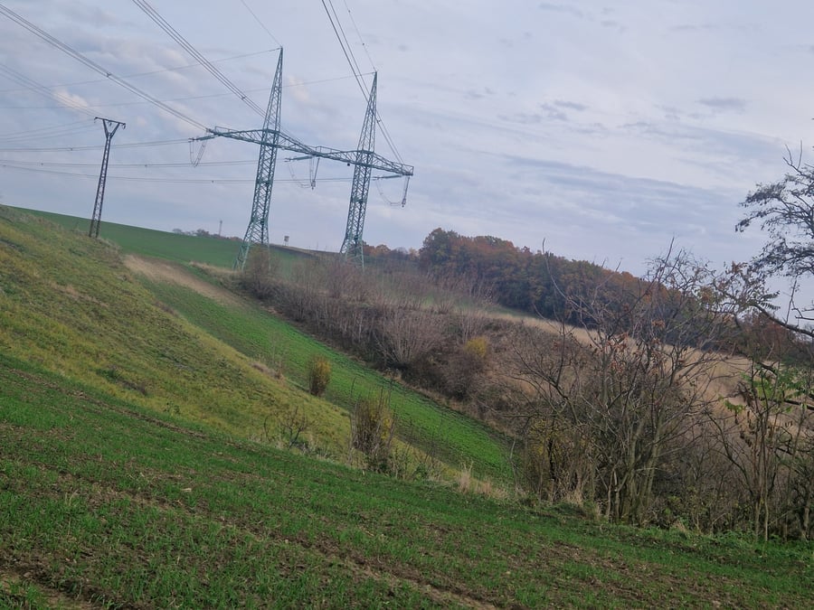 Přírodní památka Bílý kopec u Čejče