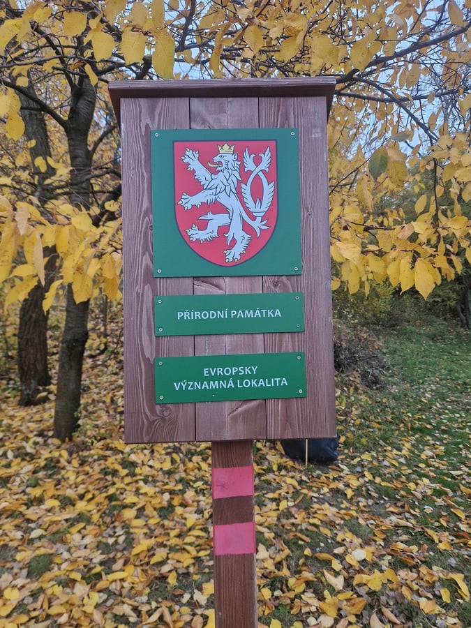 Přírodní památka Kobylská skála