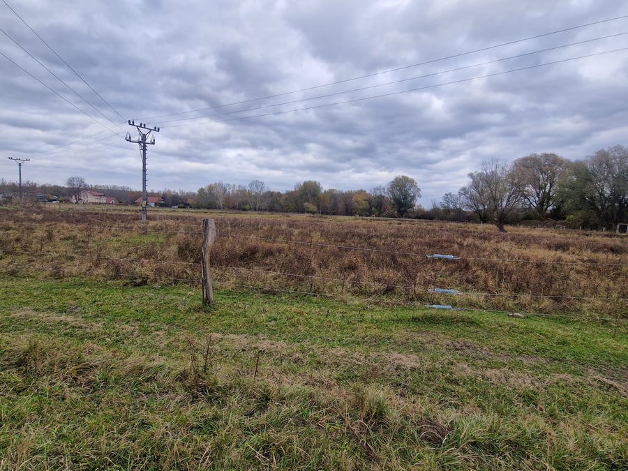 Přírodní rezervace Slanisko Novosedly