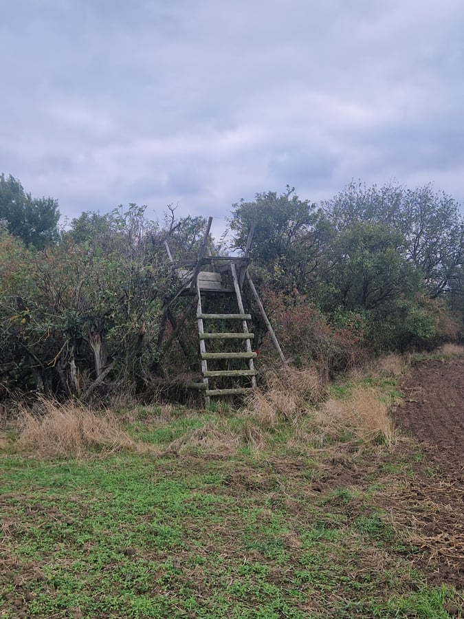 Přírodní památka Střebovský kopec