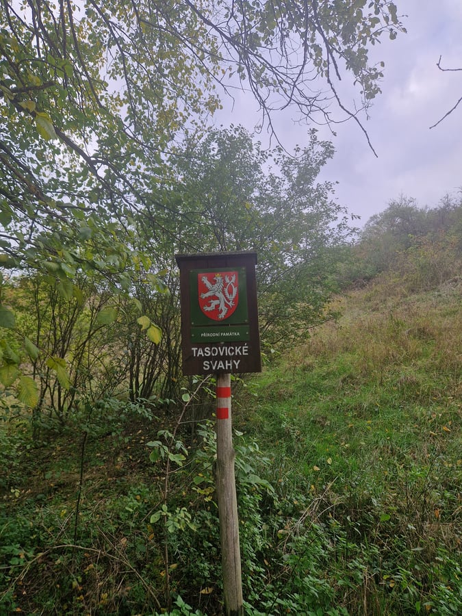 Přírodní památka Tasovické svahy