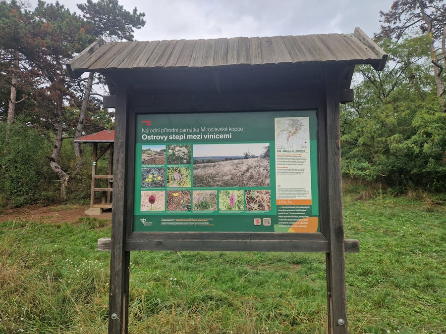 Národní přírodní památka Miroslavské kopce