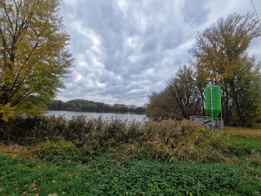 Přírodní památka Troskotovický dolní rybník