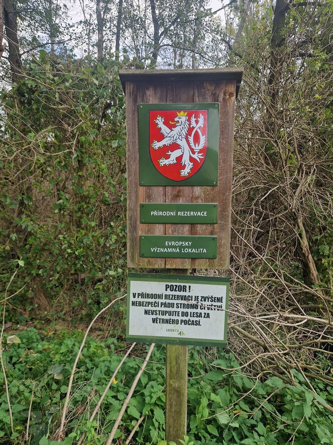 Přírodní rezervace Plačkův les a říčka Šatava