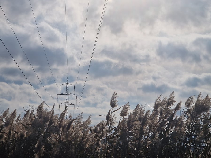 Přírodní památka Plácky