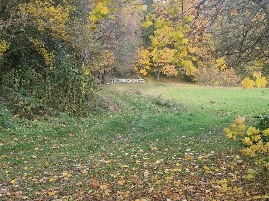 Přírodní památka Baračka