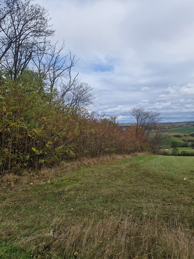 Přírodní rezervace Rašovický zlom Chobot