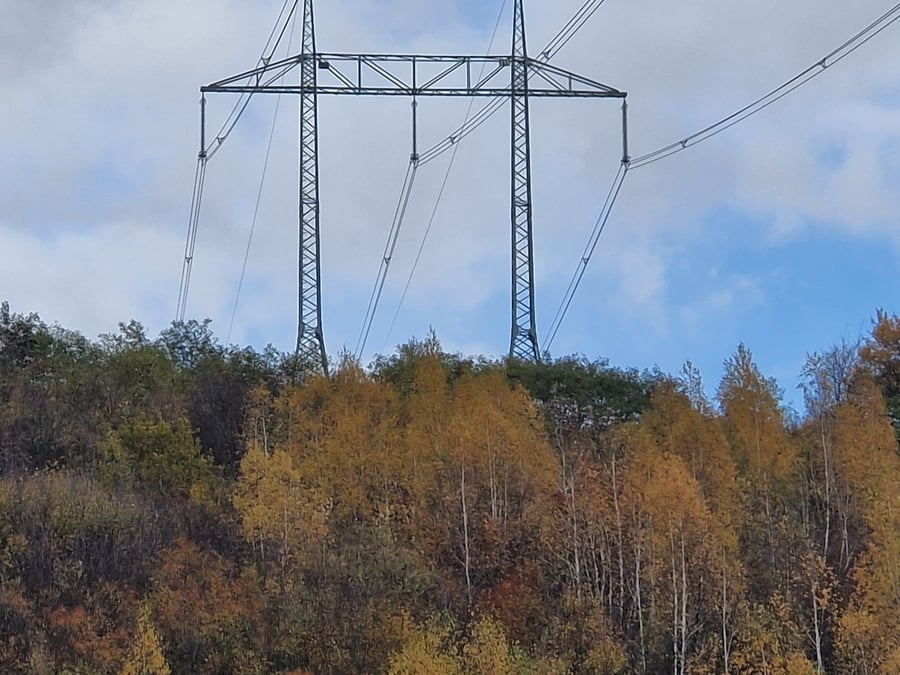 Přírodní rezervace Mušenice