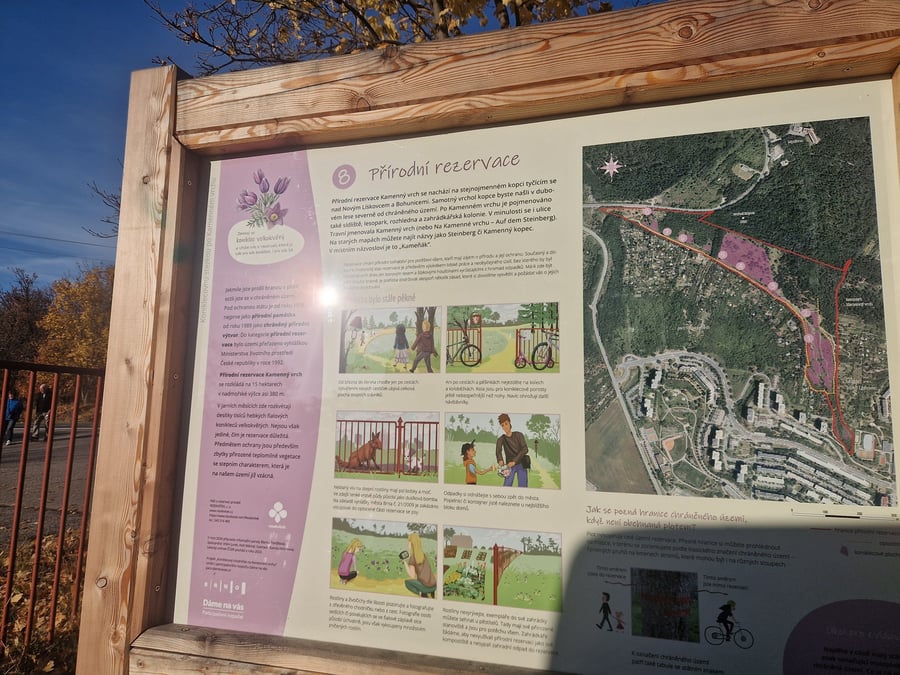 Přírodní rezervace Kamenný vrch