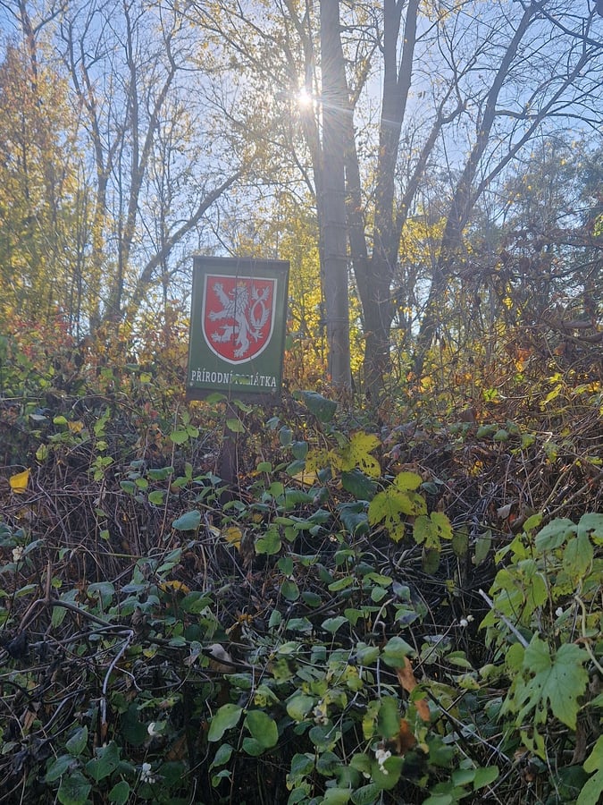 Přírodní památka Holásecké jezero