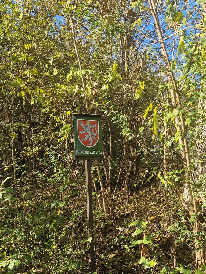 Přírodní památka Holásecké jezero