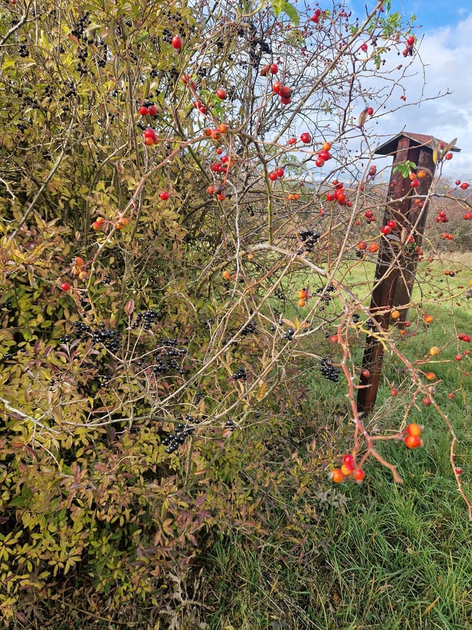 Národní přírodní památka Větrníky