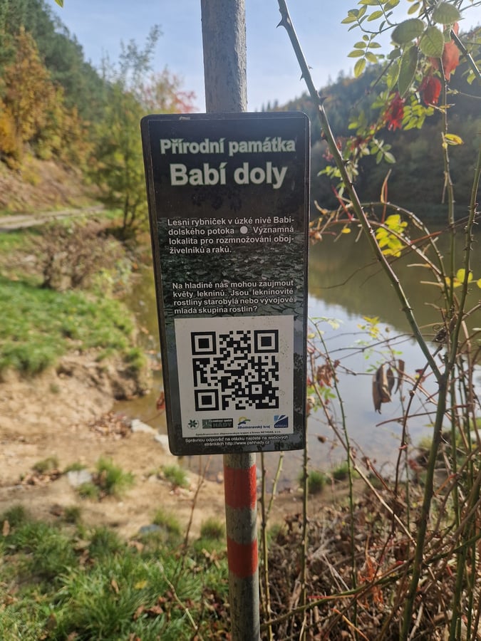 Přírodní rezervace Babí doly