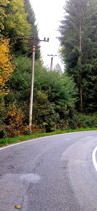 Přírodní rezervace Sokolí skála