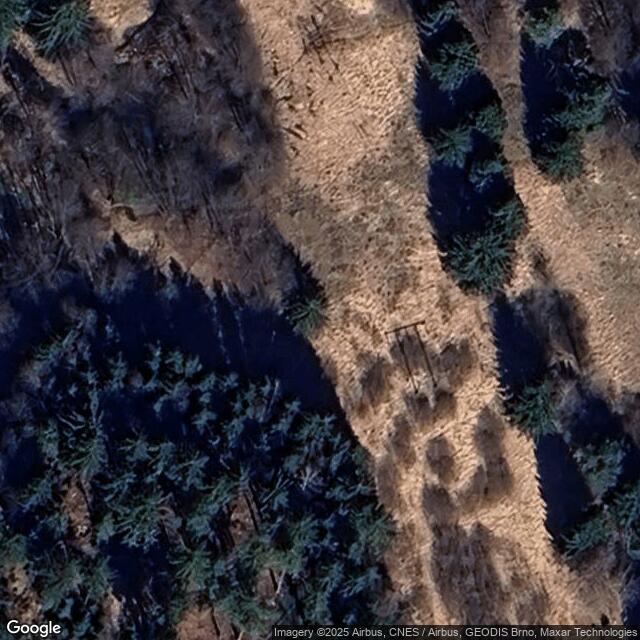 Přírodní památka Králova zahrada