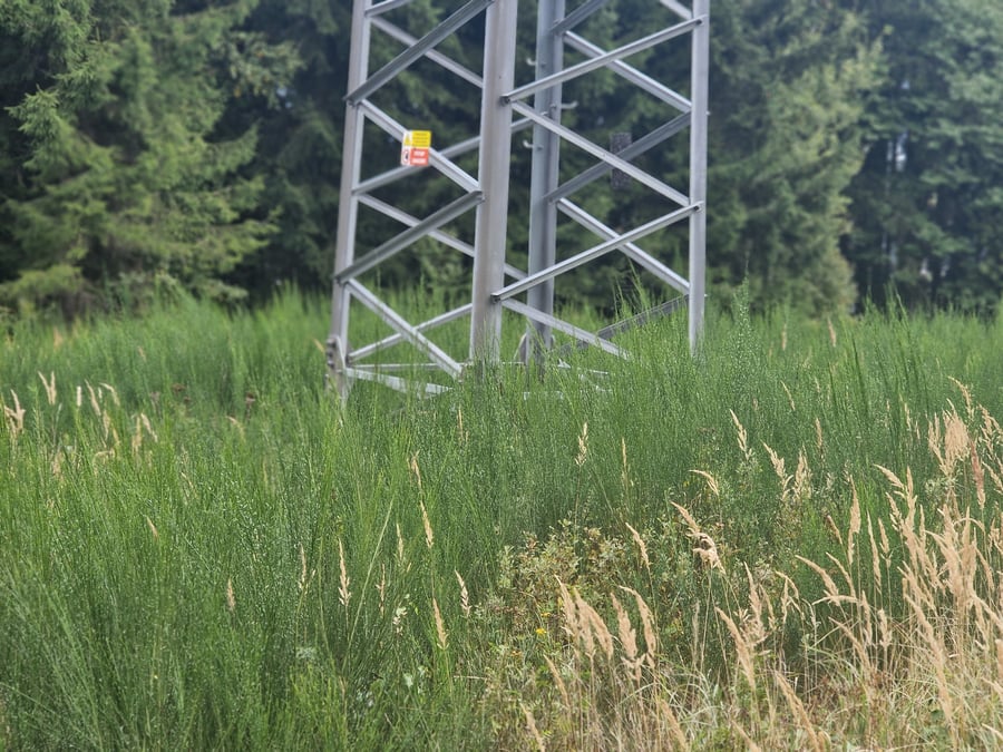 CHKO Žďárské vrchy Veselíčko I