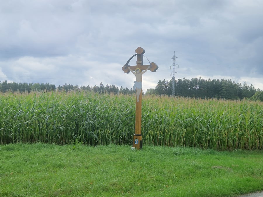 CHKO Žďárské vrchy Veselíčko II