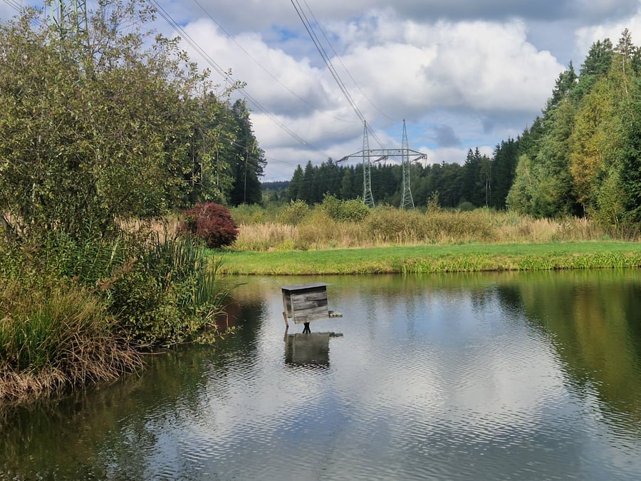 CHKO Žďárské vrchy Borová I