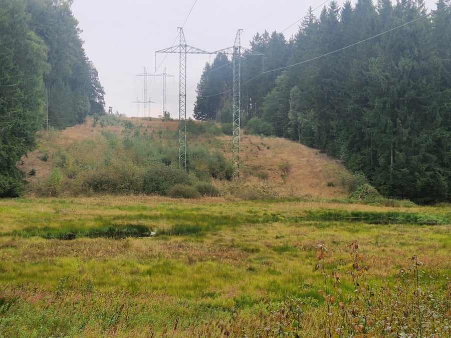 CHKO Žďárské vrchy Borky I