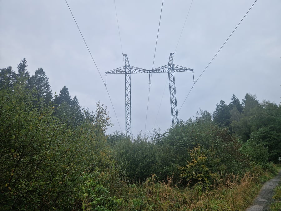 CHKO Žďárské vrchy Borky II