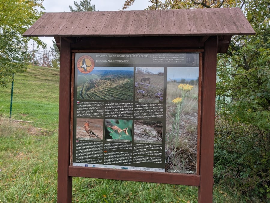 NP Podyjí sv Wolfgang