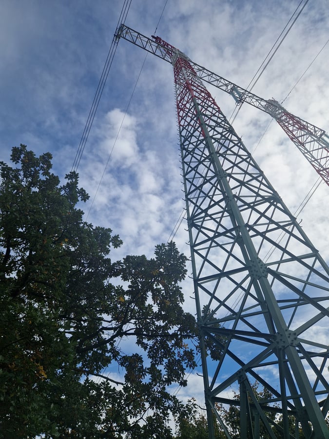 Přírodní rezervace Bosonožský hájek