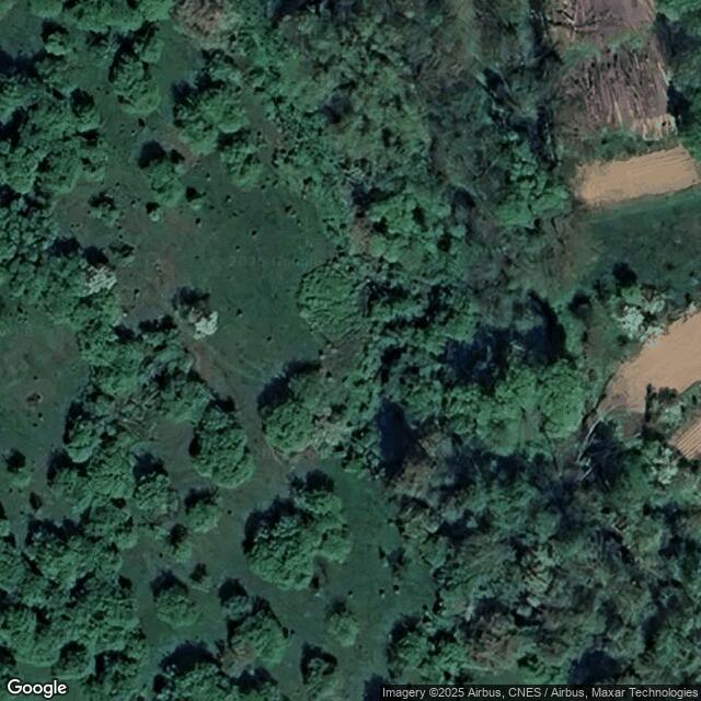 Pastvina Švikýrka (31)