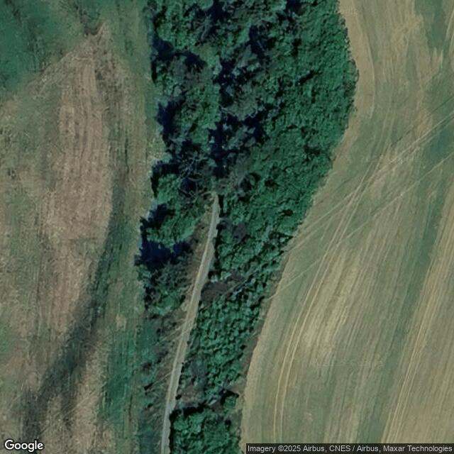 Pastvina pod Křovím (ELOP III)