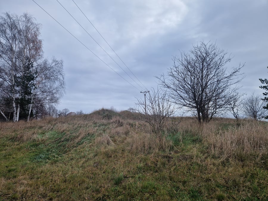 VKP ELOP-NA030 Pastvina u Naloučan