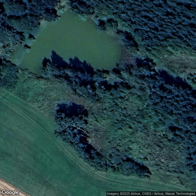 Rybníček u Ochozy (10)