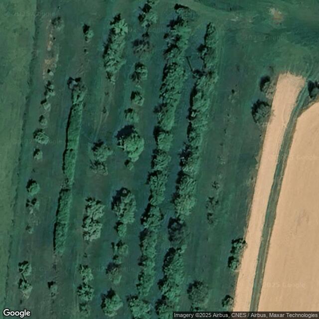 Obecní rybník ve Vlkově