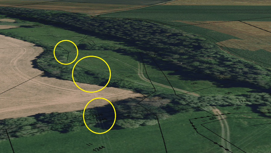 Tůň na Lučním potoku