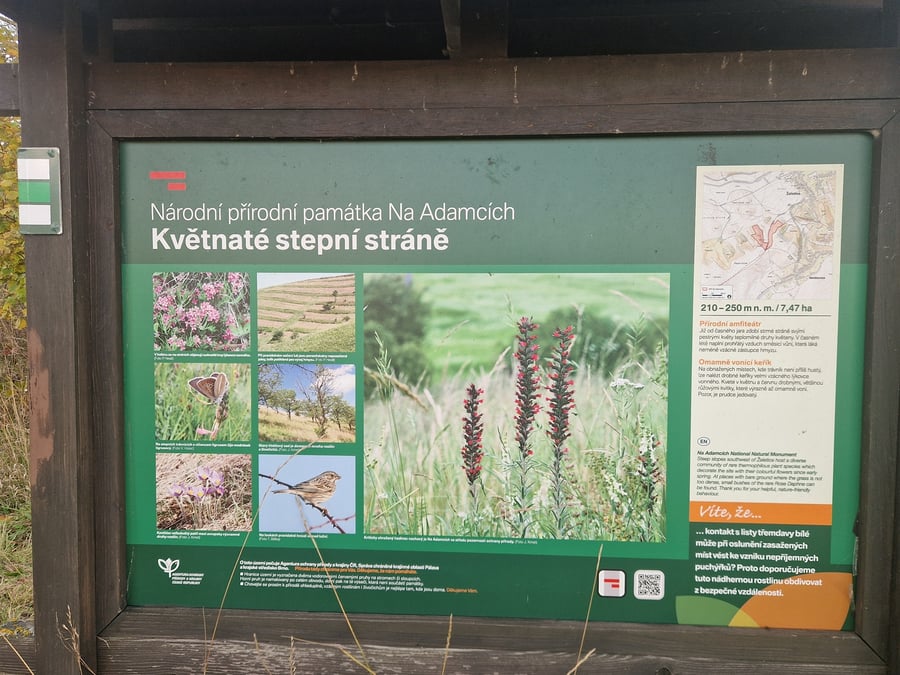 Národní přírodní památka Na Adamcích